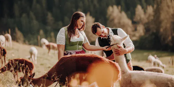 Über uns - Alpaka Bergland