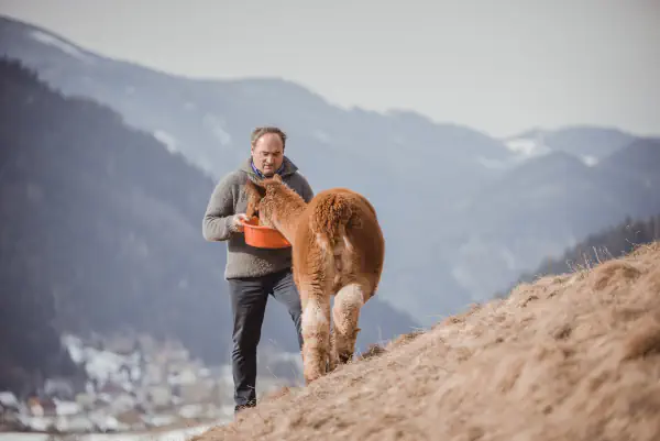 Über uns - Alpaka Bergland